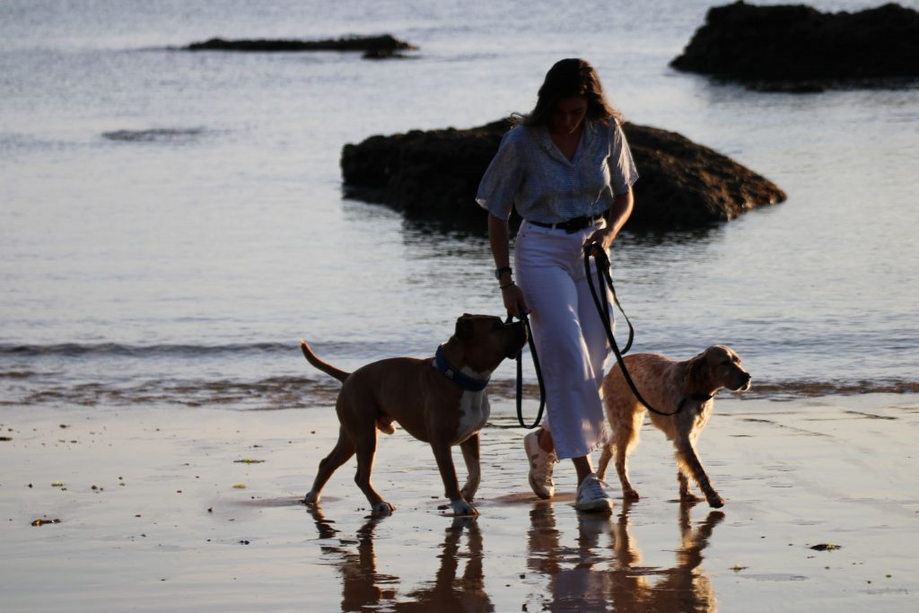 Chica paseando con dos perros por la playa de Santander
