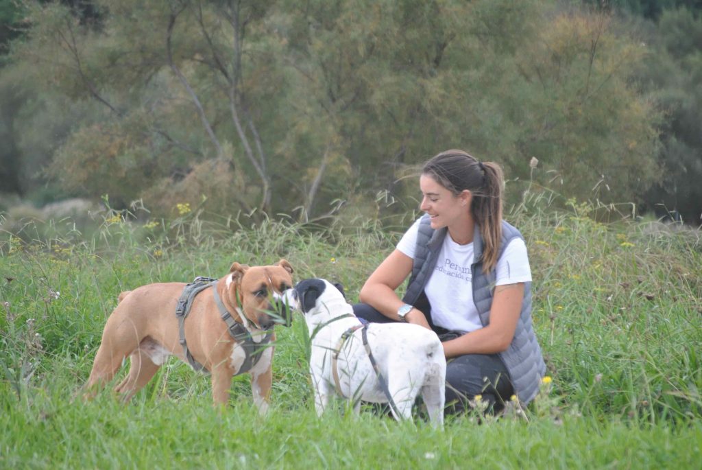 Lucrecia Sarralde, dueña de Perruna, con un par de perros realizando unas jornadas de socialización en el campo de Madrid